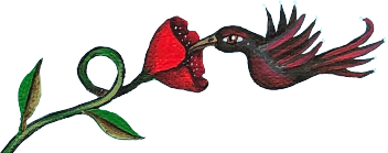 Decorative image of a hummingbird gathering nectar from a flower.